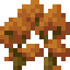 Orange Maple Shrub icon