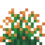 Orange Snowbelle icon