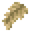 Palm Beard icon