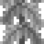 Palm Leaves icon
