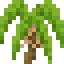 Palm Shrub icon