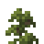 Pine Shrub icon
