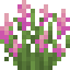 Pink Lupine icon