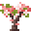 Pink Magnolia Sapling icon