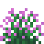 Pink Snowbelle icon