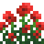 Poppy Bush icon
