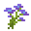 Purple Coneflower icon