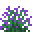 Purple Snowbelle icon