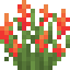 Red Lupine icon