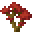 Red Maple Sapling icon