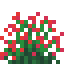 Red Snowbelle icon
