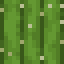 Saguaro Cactus icon