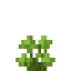 Salmonberry icon