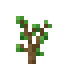 Small Oak Sapling icon