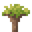 Socotra Sapling icon