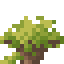 Socotra Shrub icon