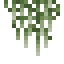 Spanish Moss icon