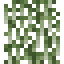 Spanish Moss icon