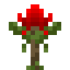 Waratah icon