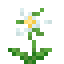 White Trillium icon