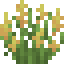 Yellow Lupine icon