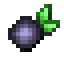 Blackcurrant icon