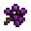 Elderberry icon