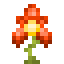 Flare Orchid icon