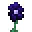 Midnight Bloom icon