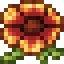 Blanketflower icon