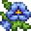 Blue Frost Pansies icon