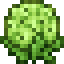 Green Hydrangea icon