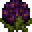 Halloween Hydrangea icon