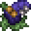 Indigo Butterfly Bush icon