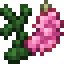 Pink Lupine icon