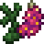 Manhattan Lights Lupine icon
