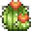 Orange Crown Cactus icon