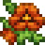 Orange Pansies icon