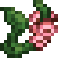 Peachy Foxglove icon