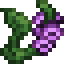 Purple Foxglove icon