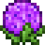 Purple Hydrangea icon