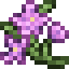 Purple Liverwort icon