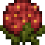 Red Hydrangea icon
