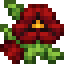 Red Pansies icon