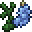 Sky Blue Lupine icon