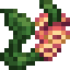 Sunrise Foxglove icon