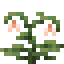 Twinflower icon