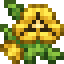 Yellow Pansies icon