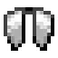 Elytra Wings icon