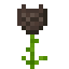 Black Diamond Glowrose icon